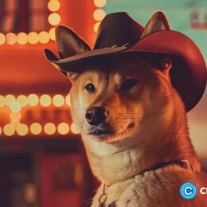 Shiba Inu price could rise 60% as burn rate rises 3,400%