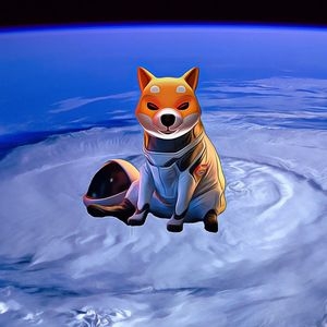 Shiba Inu Investors Anticipate Growth Following Significant Token Burn Increase